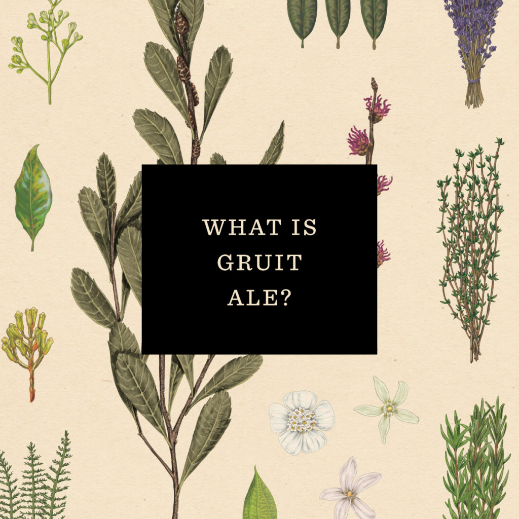 Illustration of various herbs with text "What is gruit ale?"